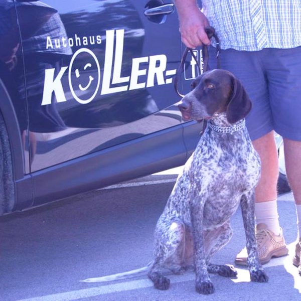 Herbstfest 2013 - Autohaus Koller | Mazda & Ford Händler