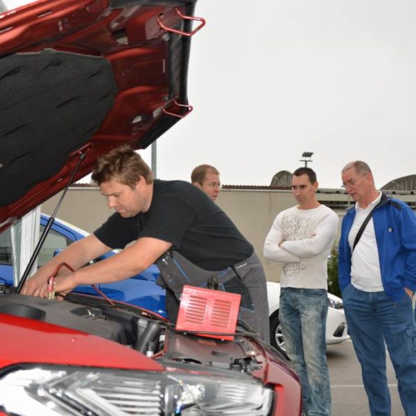 Frühlingsfest 2014 - Autohaus Koller | Mazda & Ford Händler