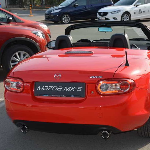 Frühlingsfest 2014 - Autohaus Koller | Mazda & Ford Händler