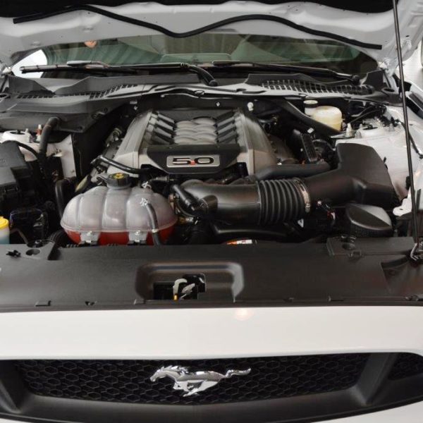 Herbstfest 2015 - Autohaus Koller | Mazda & Ford Händler