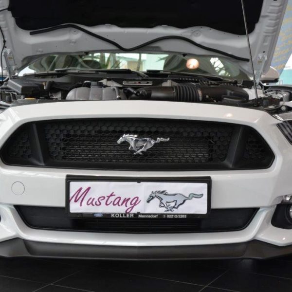 Herbstfest 2015 - Autohaus Koller | Mazda & Ford Händler