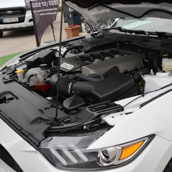 Frühlingsfest 2016 - Autohaus Koller | Mazda & Ford Händler