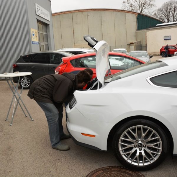 Frühlingsfest 2016 - Autohaus Koller | Mazda & Ford Händler