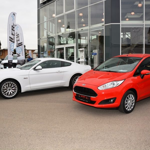 Frühlingsfest 2016 - Autohaus Koller | Mazda & Ford Händler