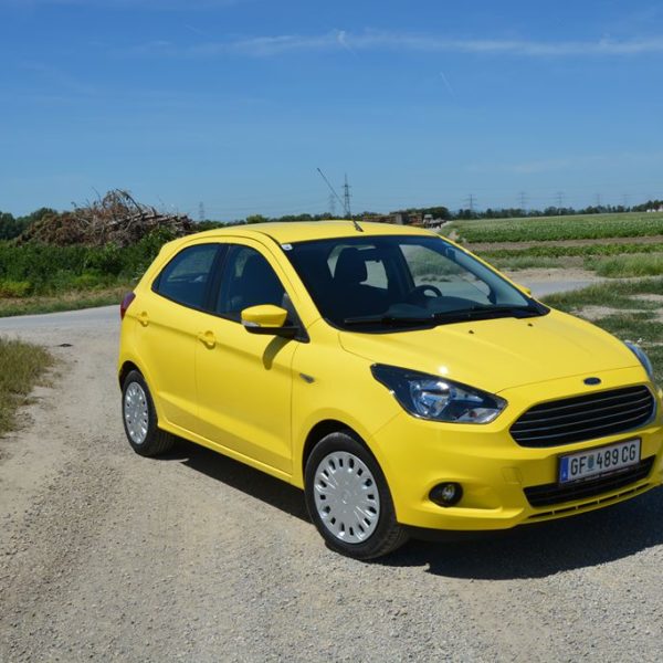 Sommerfest 2017 - Autohaus Koller | Mazda & Ford Händler