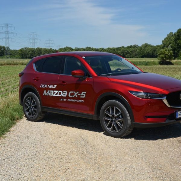 Sommerfest 2017 - Autohaus Koller | Mazda & Ford Händler