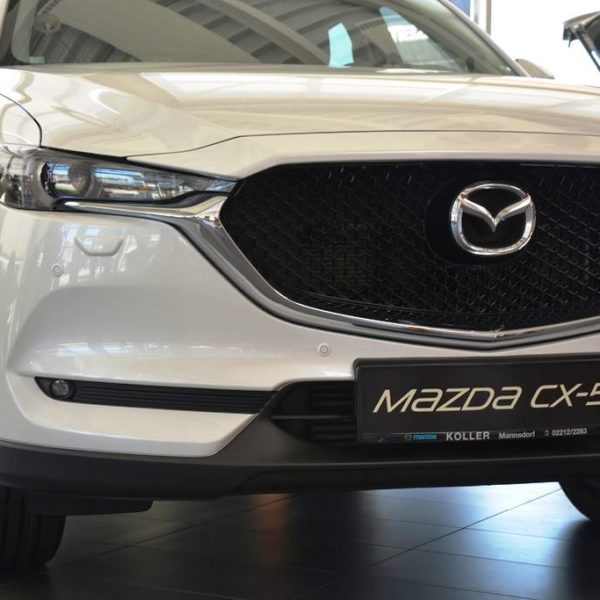 Sommerfest 2017 - Autohaus Koller | Mazda & Ford Händler