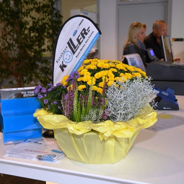 Herbstfest 2017 - Autohaus Koller | Mazda & Ford Händler