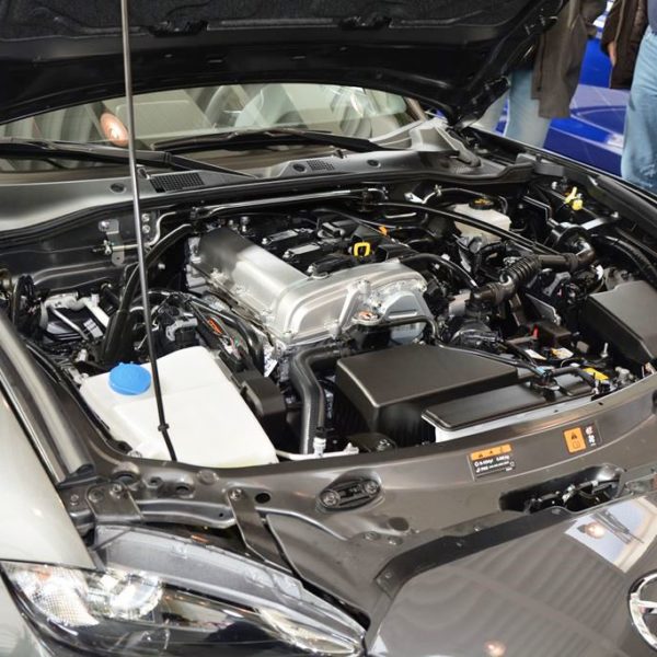 Frühlingsfest 2017 - Autohaus Koller | Mazda & Ford Händler