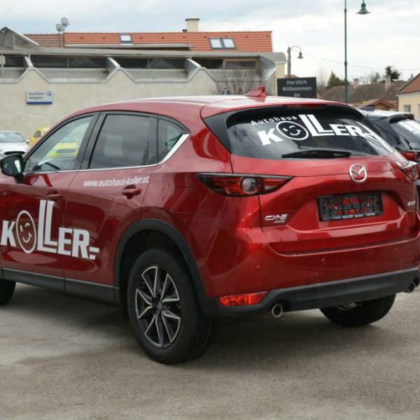 Frühlingsfest 2018 - Autohaus Koller | Mazda & Ford Händler