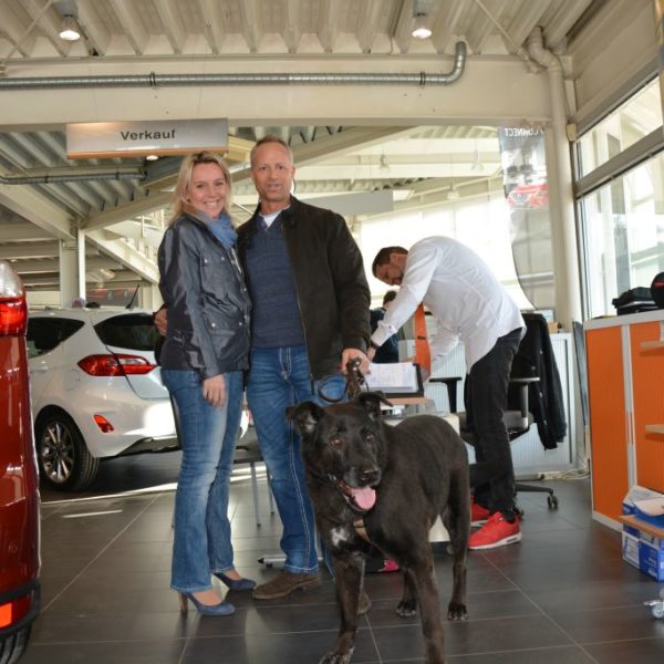 Frühlingsfest 2018 - Autohaus Koller | Mazda & Ford Händler