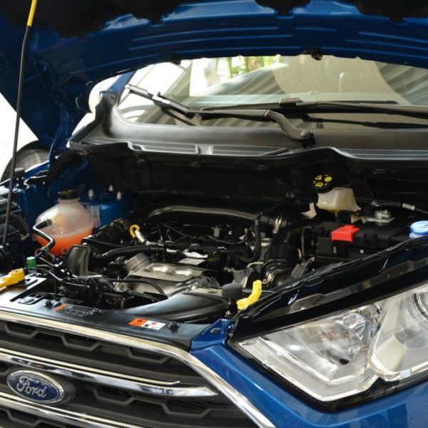 Frühlingsfest 2018 - Autohaus Koller | Mazda & Ford Händler