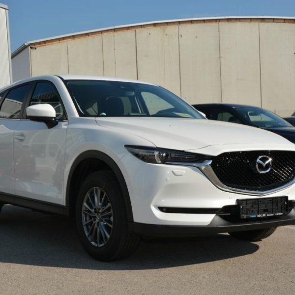 Frühlingsfest 2018 - Autohaus Koller | Mazda & Ford Händler