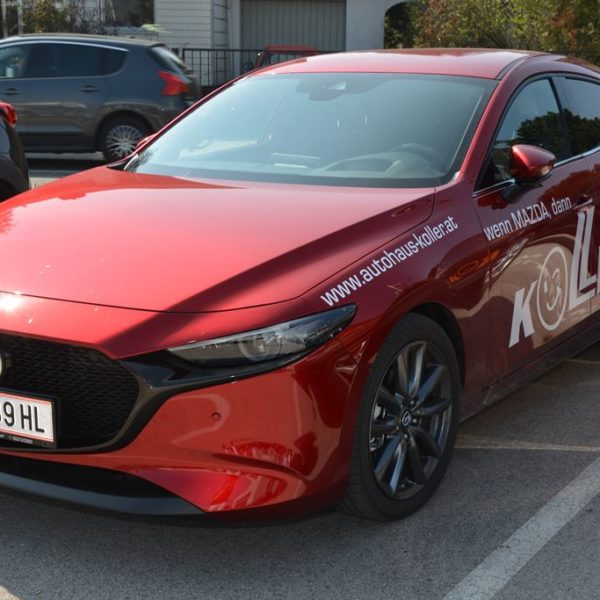 Frühlingsfest 2019 - Autohaus Koller | Mazda & Ford Händler