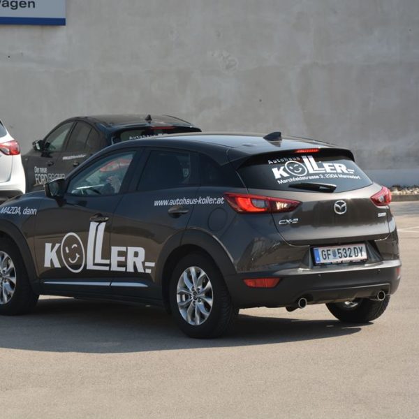 Frühlingsfest 2019 - Autohaus Koller | Mazda & Ford Händler