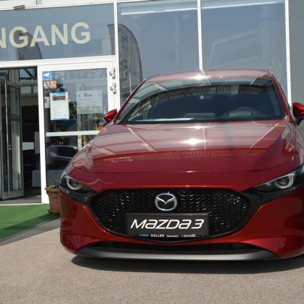 Frühlingsfest 2019 - Autohaus Koller | Mazda & Ford Händler