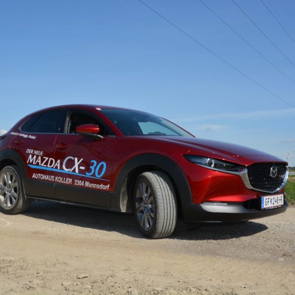 Herbstfest 2019 - Autohaus Koller | Mazda & Ford Händler