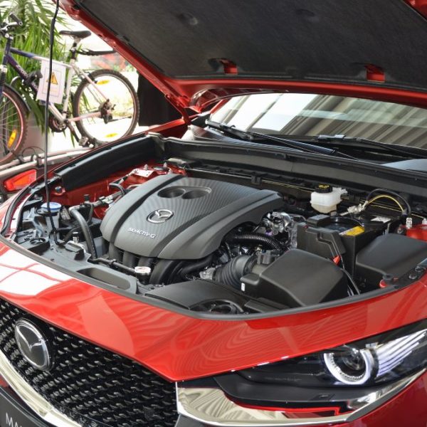 Herbstfest 2019 - Autohaus Koller | Mazda & Ford Händler