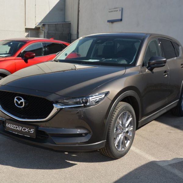 Herbstfest 2019 - Autohaus Koller | Mazda & Ford Händler