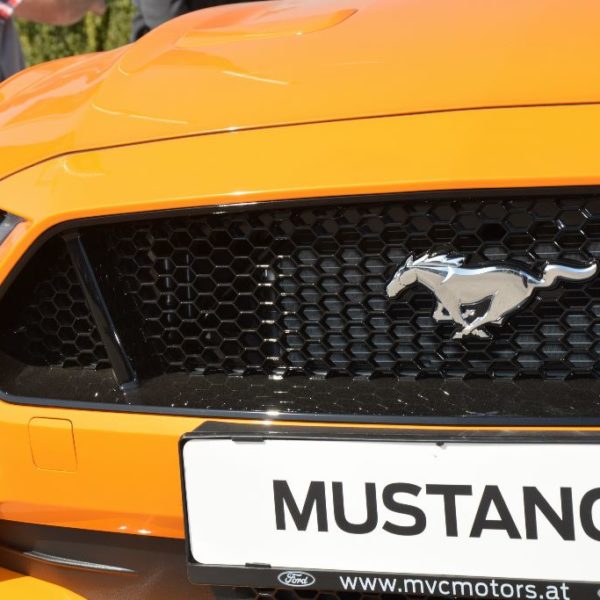 Herbstfest 2019 - Autohaus Koller | Mazda & Ford Händler