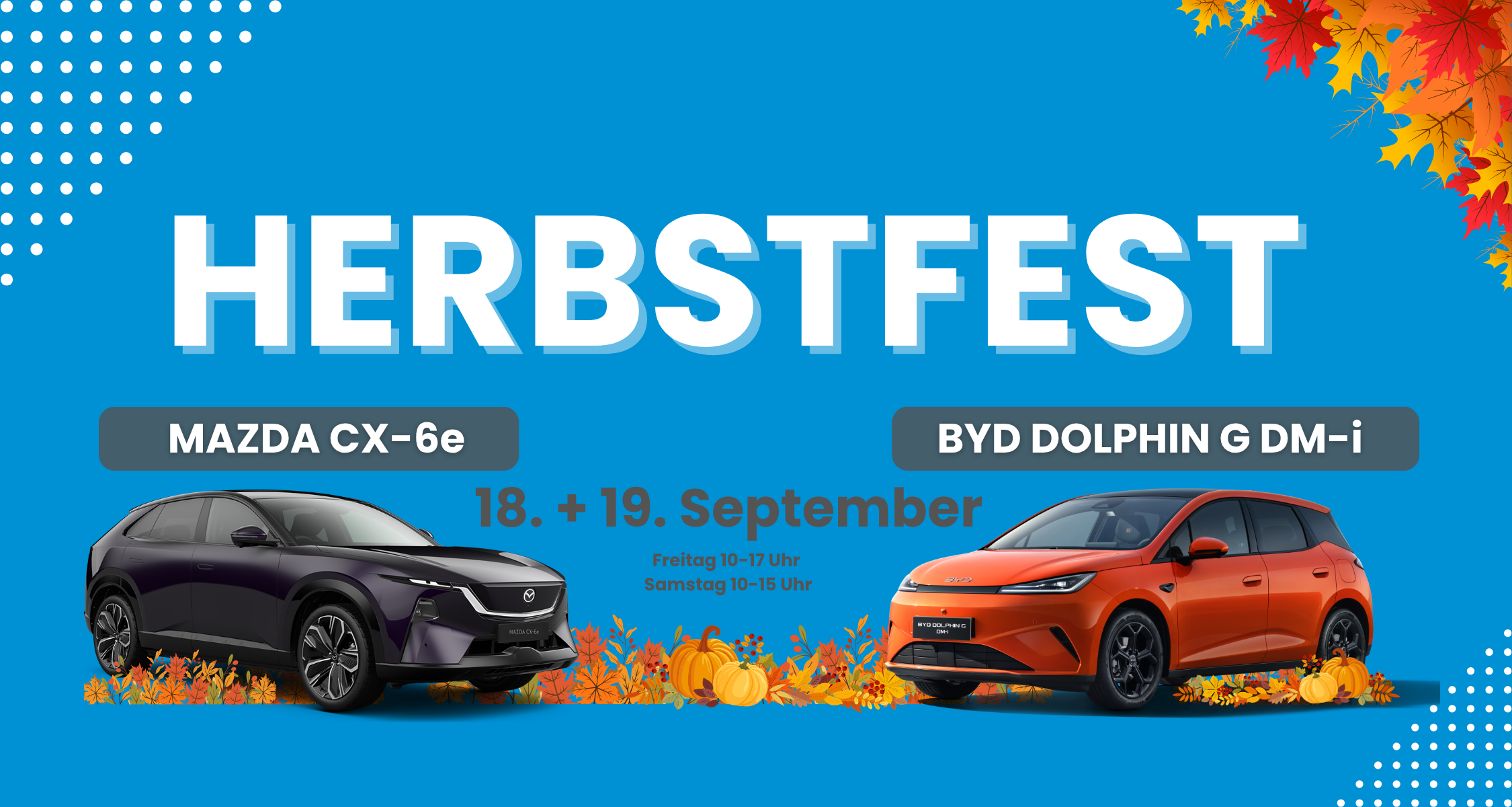 Header - Herbstfest 2026 - Mobil