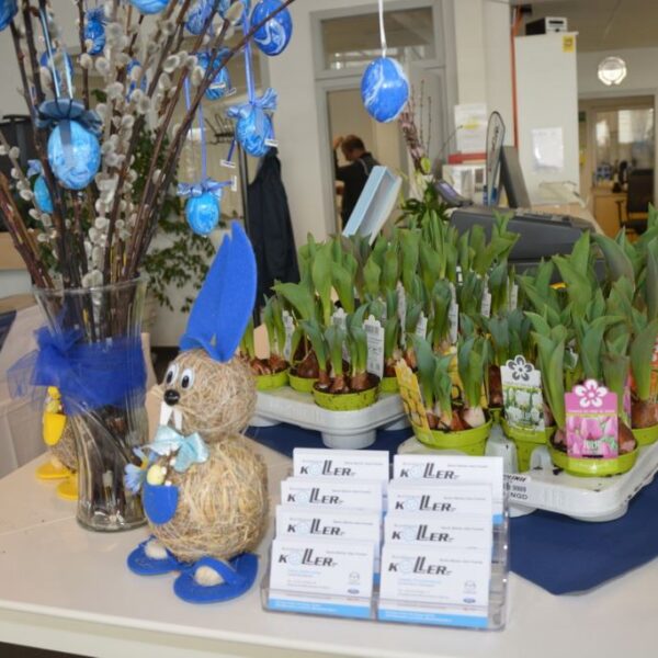 Frühlingsfest 2024 - Autohaus Koller