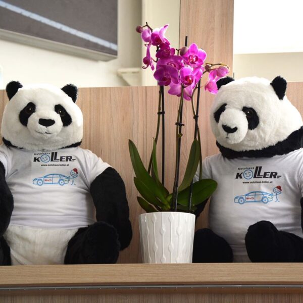 Herbstferst 2023 Autohaus Koller - BYD Markenzuwachs