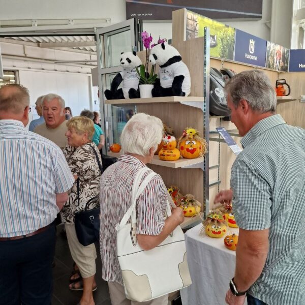 Herbstferst 2023 Autohaus Koller - BYD Markenzuwachs